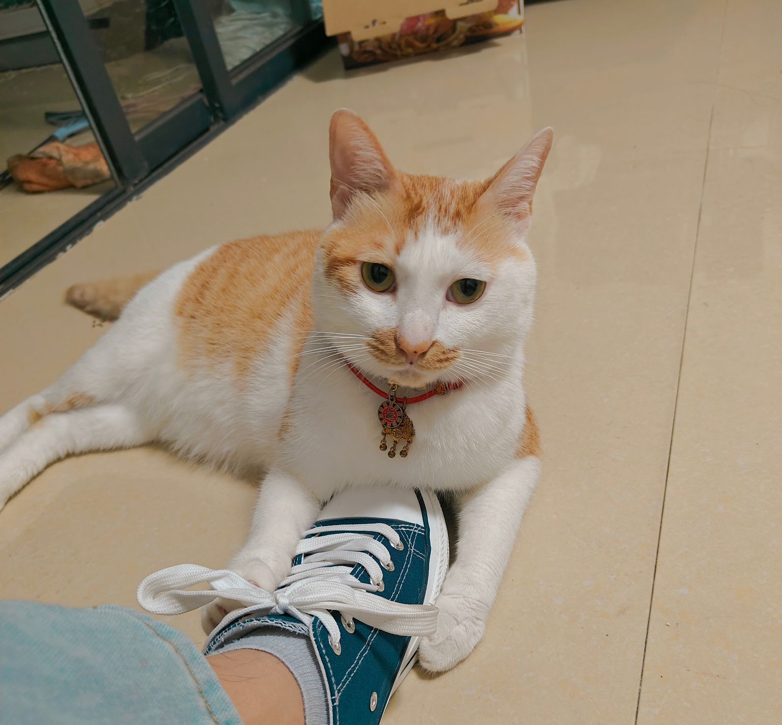 qq_pic_merged_1724575253513.jpg